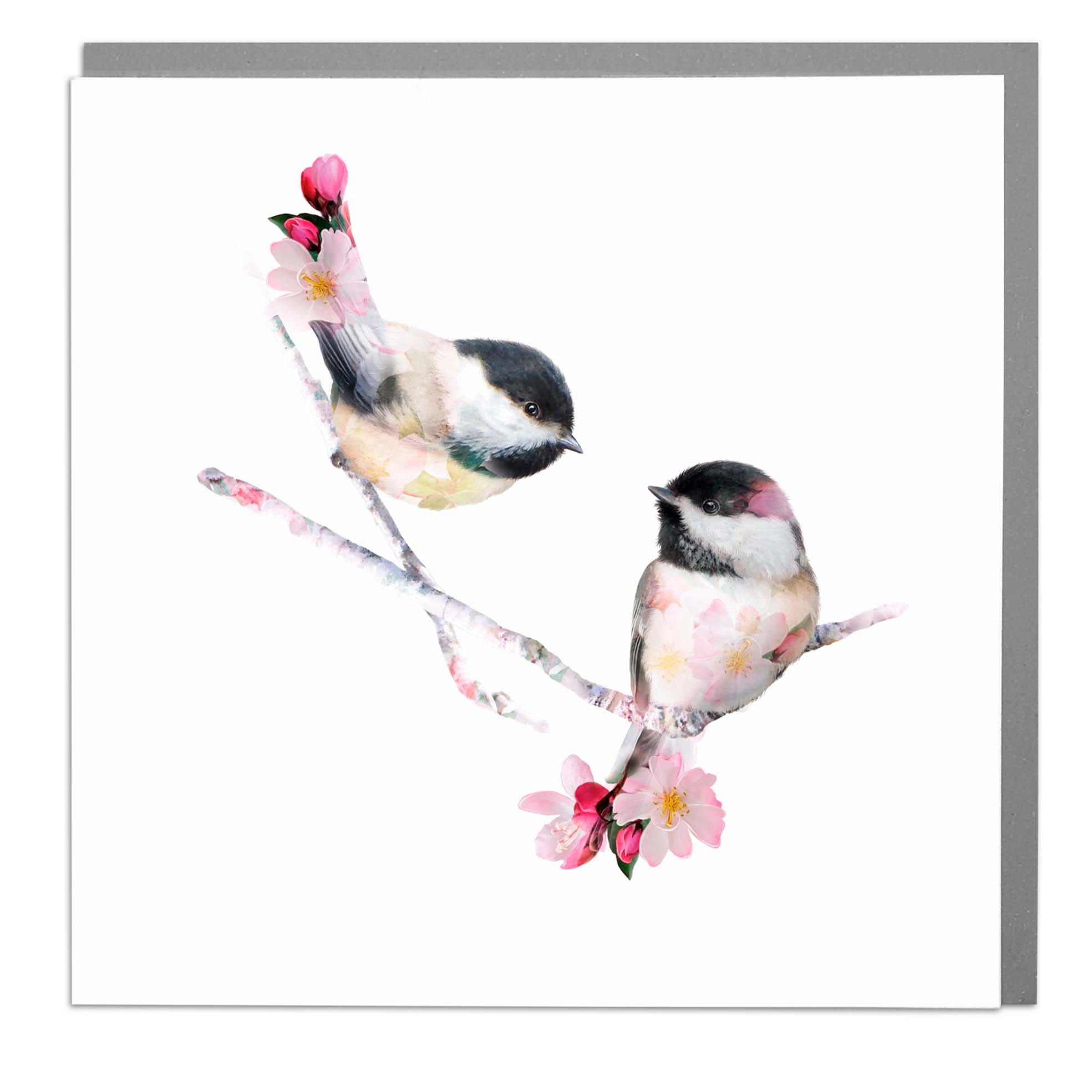Two Chickadee bird blank greeting card  by Lola Design