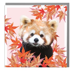 Cartão de arte em branco do panda vermelho por Lola Design