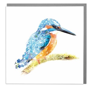 Kingfisher Card