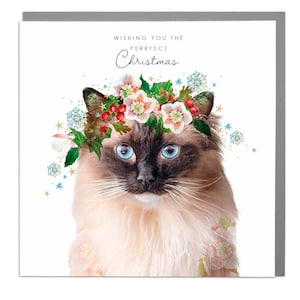 Cartolina d'auguri di felice gatto di Natale