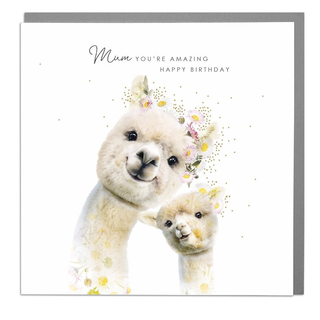 Alpaca birthday deals