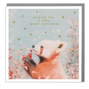 Rode panda - Vrolijke kerstkaart van Lola Design