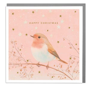 Robin - Frohe Weihnachten Karte von Lola Design