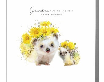 Grandma, Grandmother happy birthday cute hedgehogs greeting card