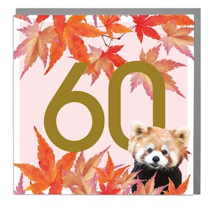 60 jaar: wenskaart rode panda van Lola Design
