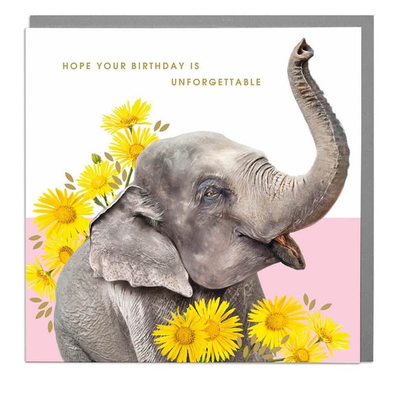 Unforgettable Elephant Birthday Card | Etsy
