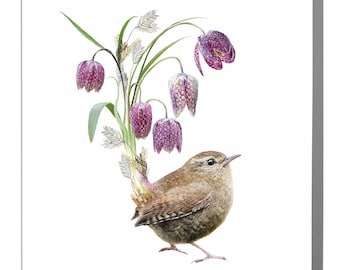 Wren Bird blank greeting Card by Lola Design