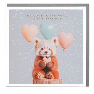 Roter Panda Baby Karte für Jungen von Lola Design