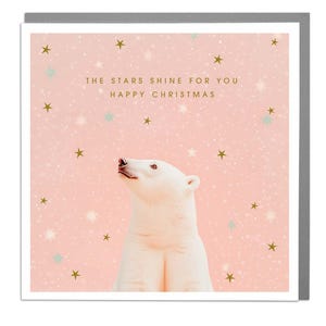 Ours polaire - Carte de joyeux Noël avec des étoiles qui brillent par Lola Design
