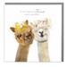 Alpaca Fabulous Friend Birthday Card, Best friend,Friendship Birthday card for her by Lola Design 