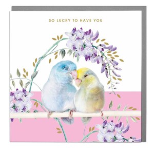 Parrotlet fortunato ad averti la carta