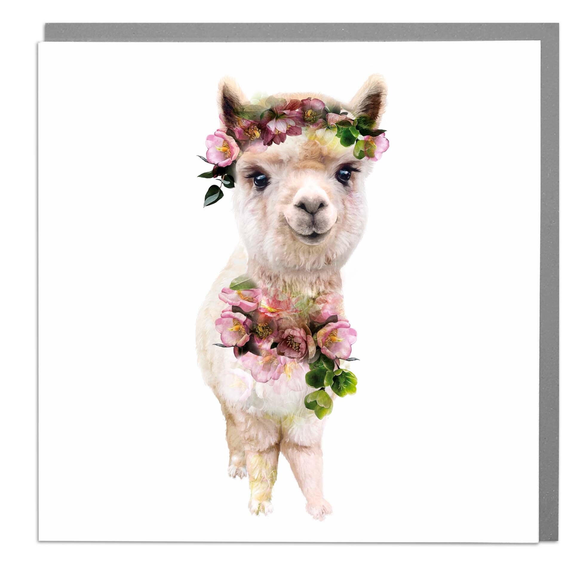 Cute Alpaca Blank art greeting card by Lola Design