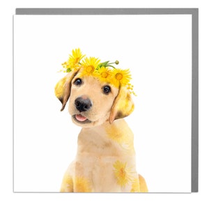 Labrador greeting card by Lola Design