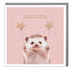 Egel - Hoera, Jippie, gefeliciteerd! Kaart van Lola Design