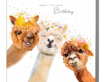 Happy Birthday Alpaca Card - Funny and Cute Alpaca Birthday Greeting for Her