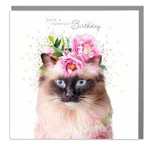Joyeux anniversaire Rag Doll Cat Card - Adorable et charmante salutation pour les amoureux des chats