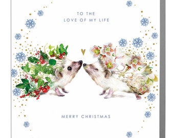 Hedgehog Love Of My Life Happy Christmas Holiday greeting Card