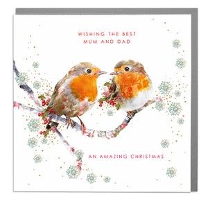 Biglietto di auguri natalizio per mamma e papà Robins