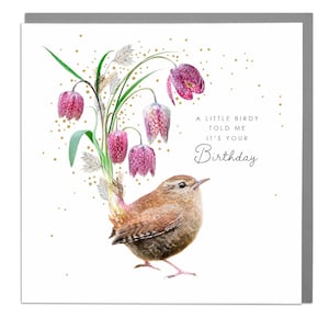 Charming Birthday Cards with Bird Illustration and Floral Design