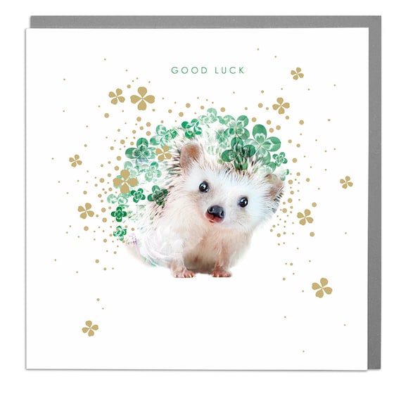 Hedgehog Good Luck Card Etsy