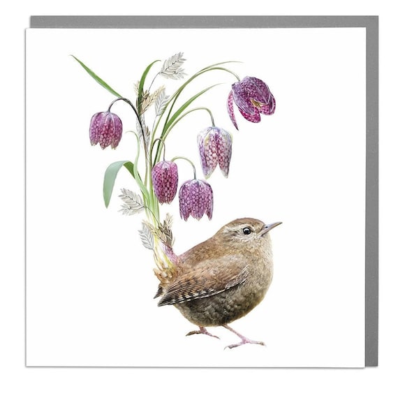 Wren Bird Blank Greeting Card with Grey Envelope
