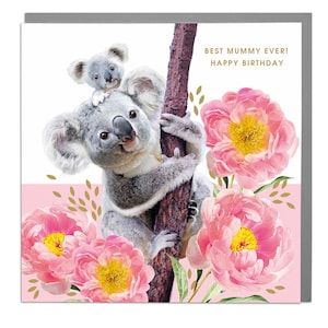 Koala's beste mama, mama verjaardagskaart