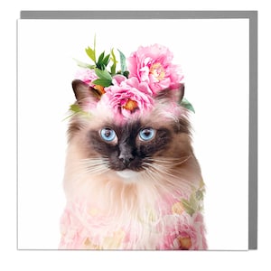 Cute Cat greeting card by Lola Design