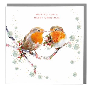 Cartão de felicitações de Natal feliz e bonito dos Robins