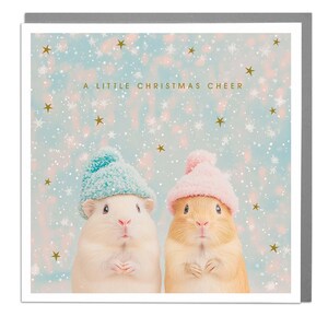 Cavia's - kerstkaart van Lola Design