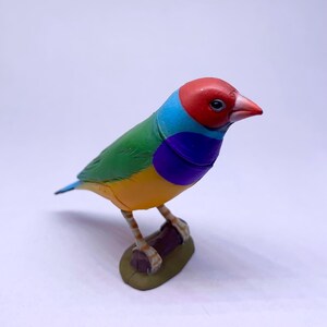 Puede incluir: Figurita colorida de un pinz&oacute;n de Gould, con cabeza roja, cuello azul, espalda verde, vientre amarillo y pecho morado. El p&aacute;jaro est&aacute; posado en una peque&ntilde;a rama. El pico es rosa y el fondo es blanco.