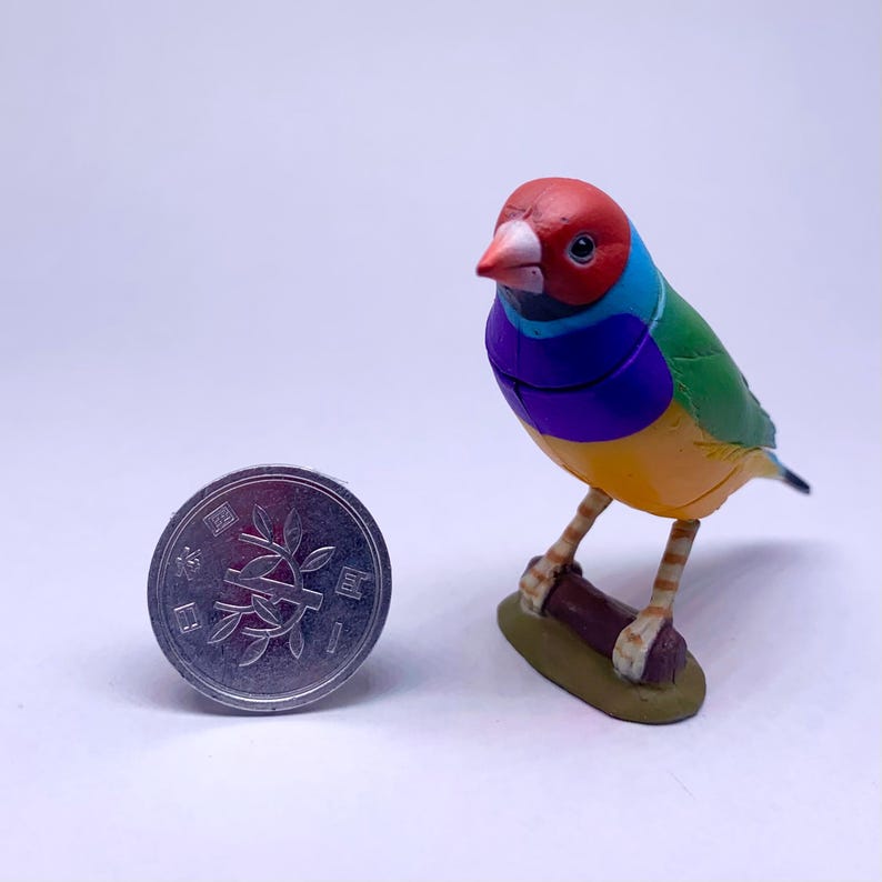 Puede incluir: Una colorida figura de un pinz&oacute;n de Gould encaramado en una rama marr&oacute;n. El ave tiene la cabeza roja, detalles azules, verdes y morados, y un cuerpo amarillo. Una moneda de plata con caracteres japoneses est&aacute; al lado.