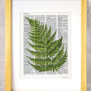 Fern Leaf Print: Botanical Dictionary Art