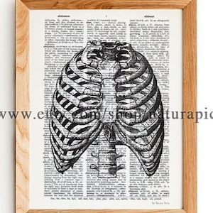 Human Thorax dictionary print, skeleton wall art, anatomy print set, upcycled wall art, gothic book art, doctor gift, office decor,Xmas gift