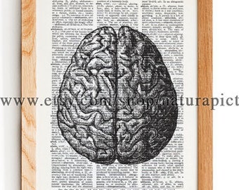 Brain Vintage Anatomical Print Medical Poster Print Gift Human Book Art ...