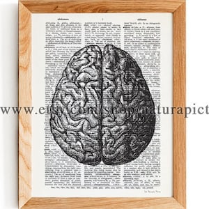 Human brain dictionary print-brain wall art-doctor gift-medical office decor-Anatomical print-anatomy poster-anatomy print-NATURA PICTA
