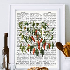 Red chili peppers botanical spice print, Kitchen wall art, chili peppers book art, herbs print, rustic print, kitchen print set, NATURAPICTA