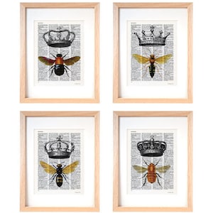Bumble Bee Crown Print Set: Victorian Insect Dictionary Art