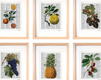 Fruits botanical set of 6 prints, antique fruits dictionary print, kichen print, botanical book art,garden print,farmhouse decor,NATURAPICTA