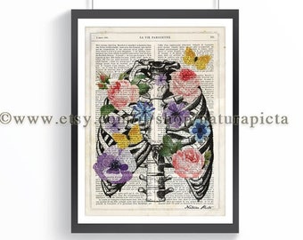 Human thorax anatomy poster, Anatomical wall art, human body medical large wall art, medical illustration, custom poster, Xmas gift