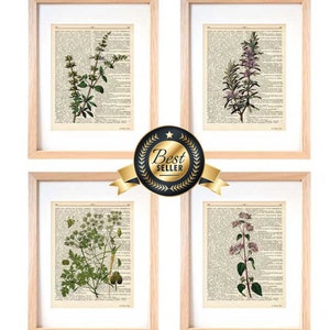 Küchenkräuter 4er Set Kunstdrucke, Küchenkräuter Poster, italienisches Poster, Gewürze Poster, Weihnachtsgeschenk, Weihnachtsdeko, Weihnachtsdeko, Geschenk für Sie