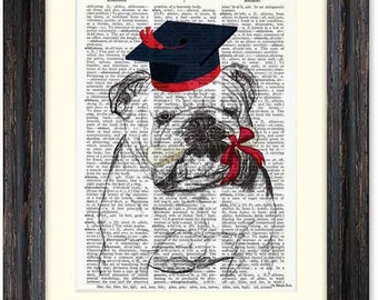 Funny English Bulldog with graduation cap dictionary print, graduation print,Best Gifts for College Graduates, present for graduate, NPITALY