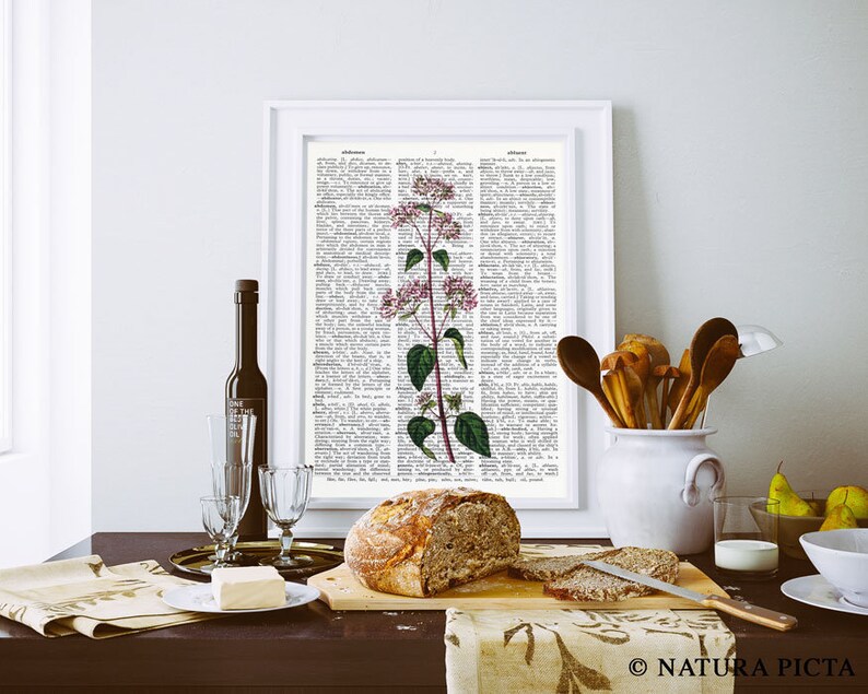 Oregano Herb Botanical Print Oregano Dictionary Print Etsy New Zealand