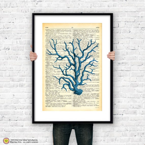 Blue Coral Dictionary Statement Print | Museum Quality Wall Art, Vintage Nautical Coastal Decor, Botanical Sea Life Poster, Naturapicta 2011