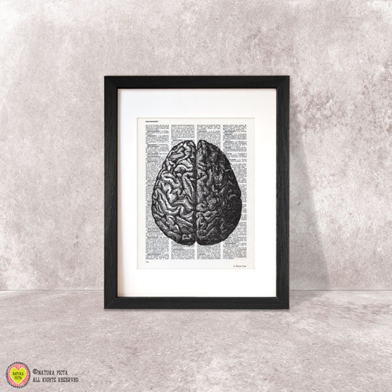 Human Brain anatomy print, dictionary wall art, Anatomy print set, victorian print, anatomical wall art, brain poster,Xmas gift, doctor gift image 1