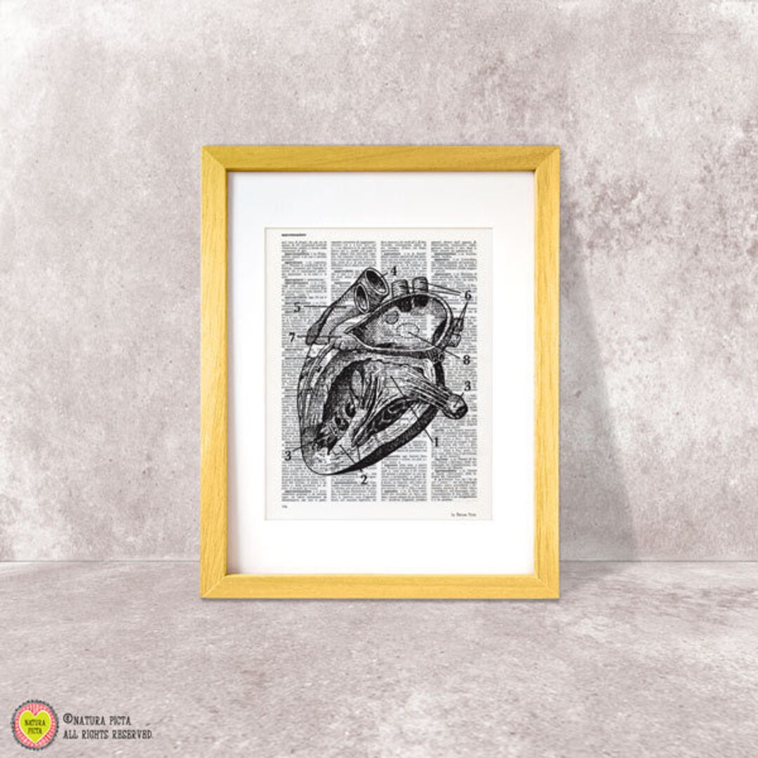 Human Heart Anatomy Print,anatomy Book Art,antique Heart Art Print ...
