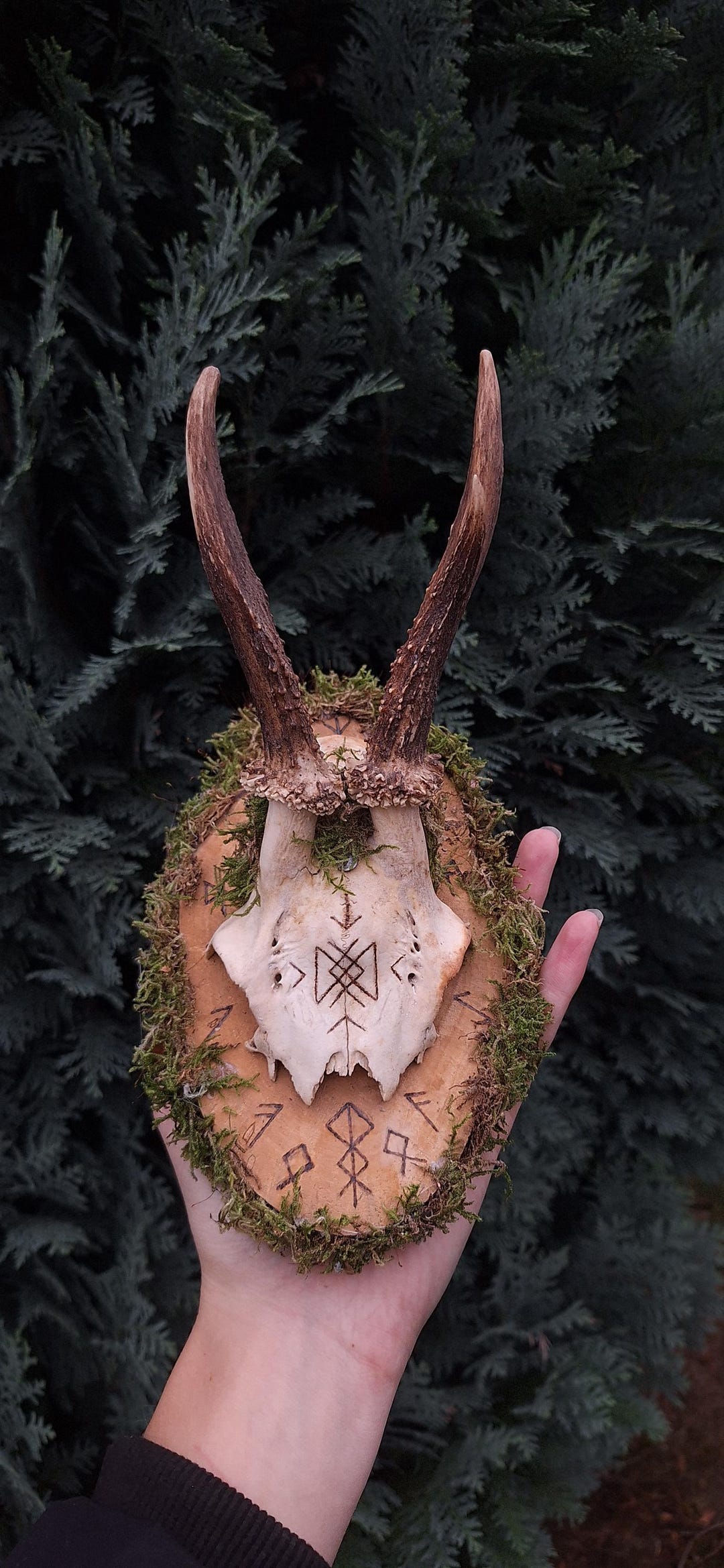 Handcrafted Deer Skull Decoration With Runes | Pagan / Wiccan / Viking ...