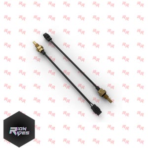 May include: Two black temperature sensors with gold-coloured tips and black connectors. The sensors have long, thin black wires. The background is white with a repeating pattern of the letters "RR". The logo "ION RIDES" is in the bottom left corner.
