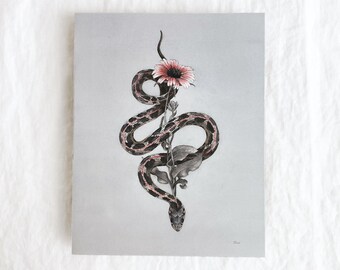 Shield Print 8x10