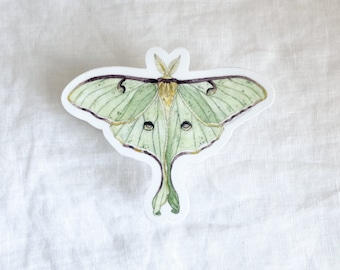 Luna Moth Sticker