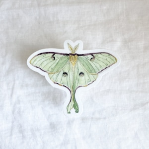 Luna Moth Sticker